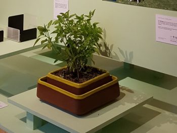 Reinhard Dienes Studio