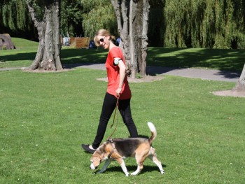 Laura Palacio – Daniel White